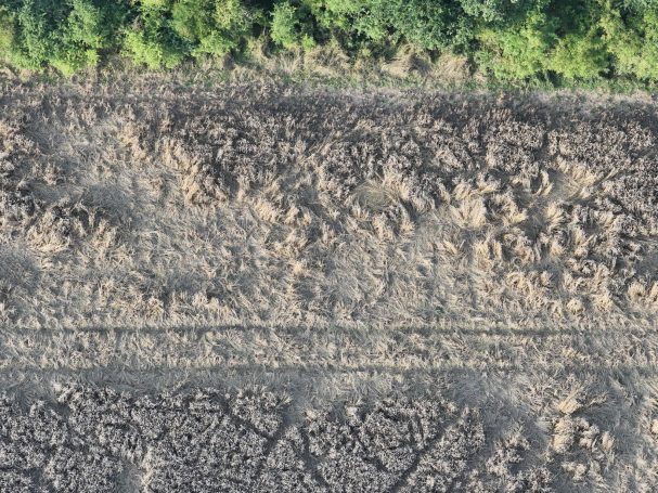 Schadensaufnahme im Feld